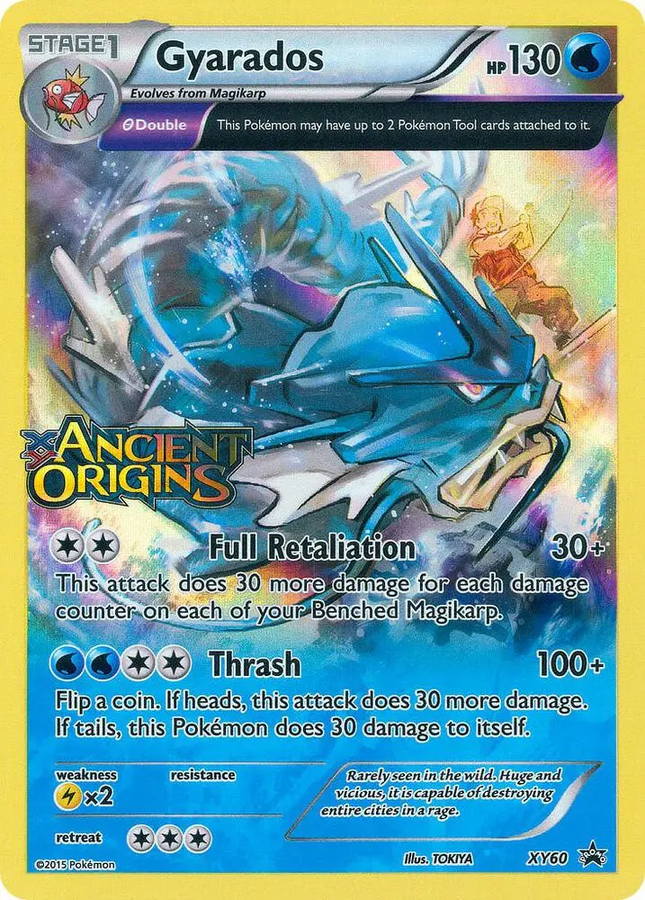 Gyarados, XY Black Star Promos XY60/211