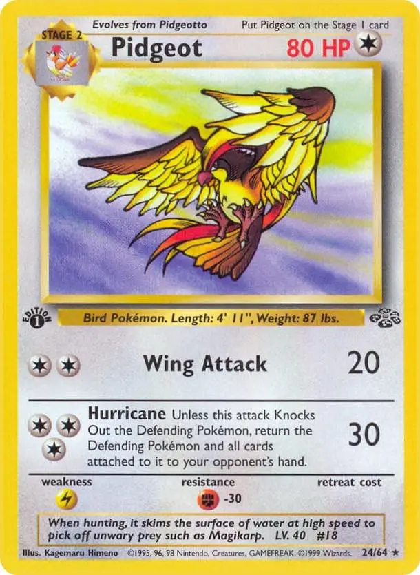 Pidgeot, Jungle 24/64