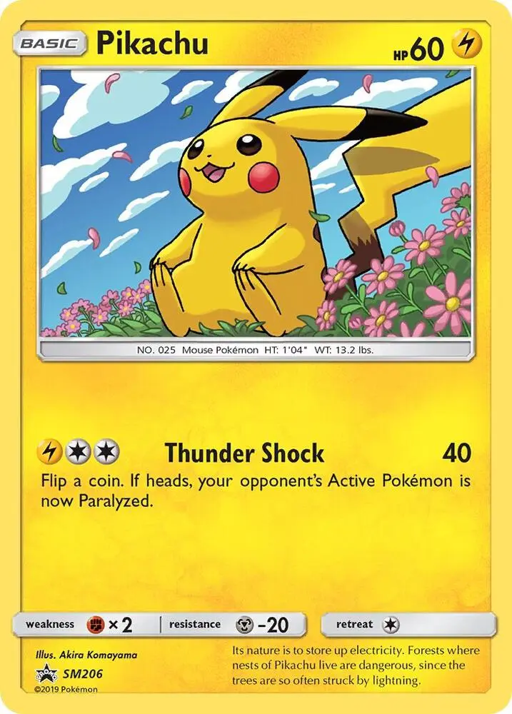 Pikachu, SM Black Star Promos SM206/248