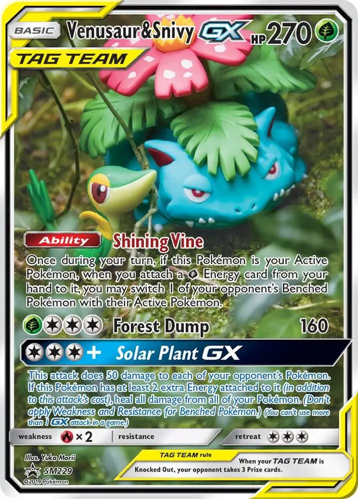 Venusaur & Snivy GX, SM Black Star Promos SM229/248
