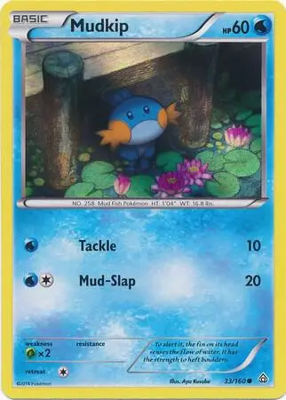 Mudkip, Miscellaneous Cards & Products 033/160
