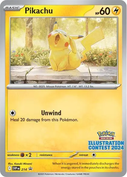 Pikachu, SVP Black Star Promos 214/225