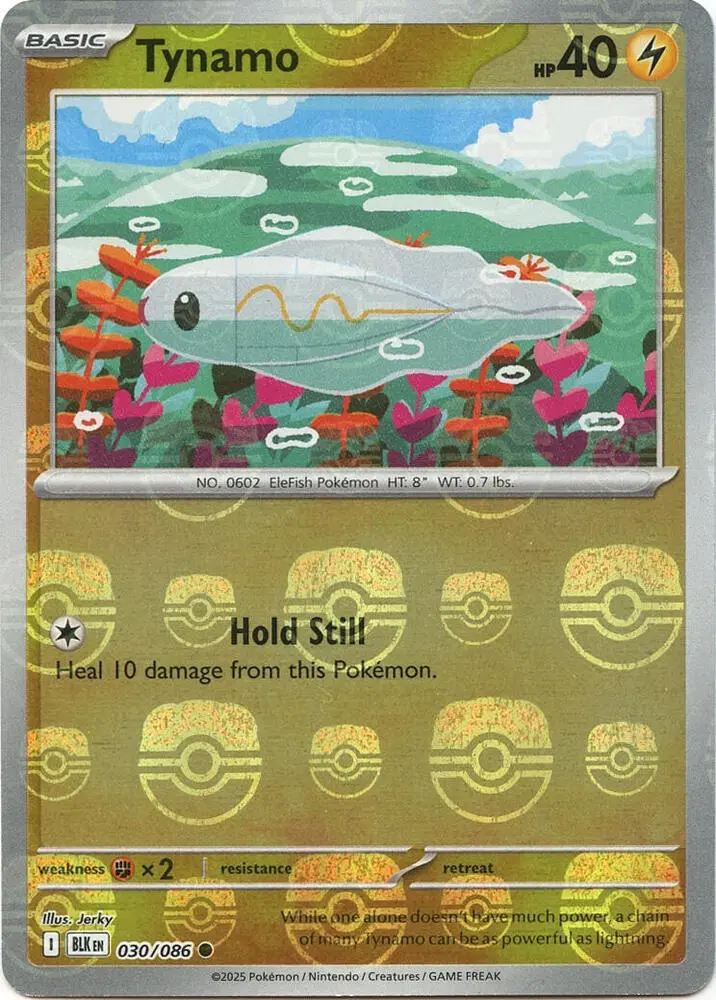 Tynamo (Master Ball Pattern), Black Bolt 030/086