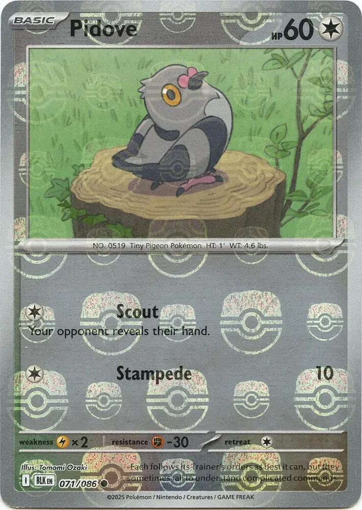 Pidove (Master Ball Pattern), Black Bolt 071/086