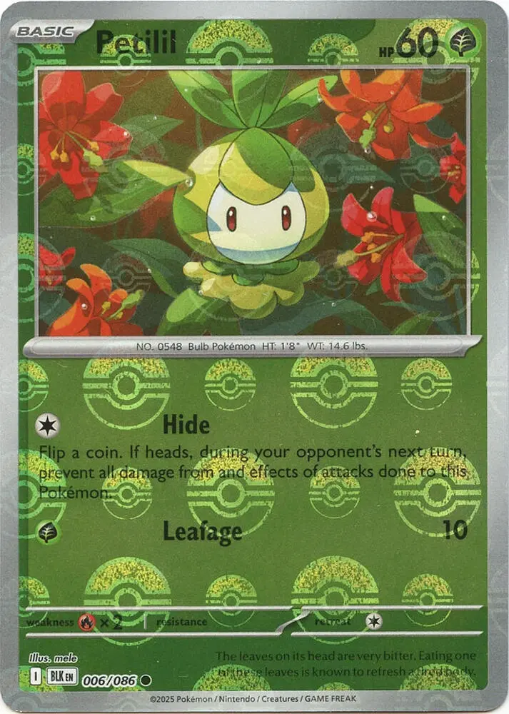 Petilil (Master Ball Pattern), Black Bolt 006/086