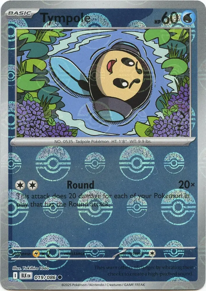 Tympole (Master Ball Pattern), Black Bolt 019/086