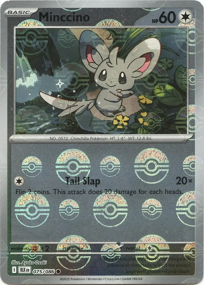 Minccino (Master Ball Pattern), Black Bolt 075/086