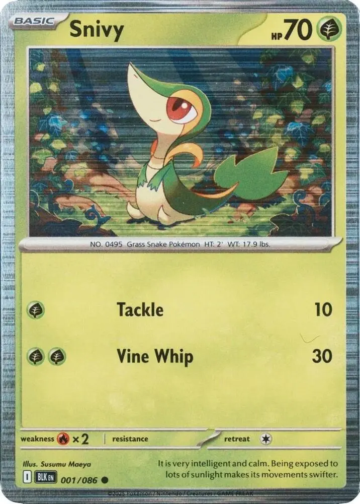 Snivy, Miscellaneous Cards & Products 001/114
