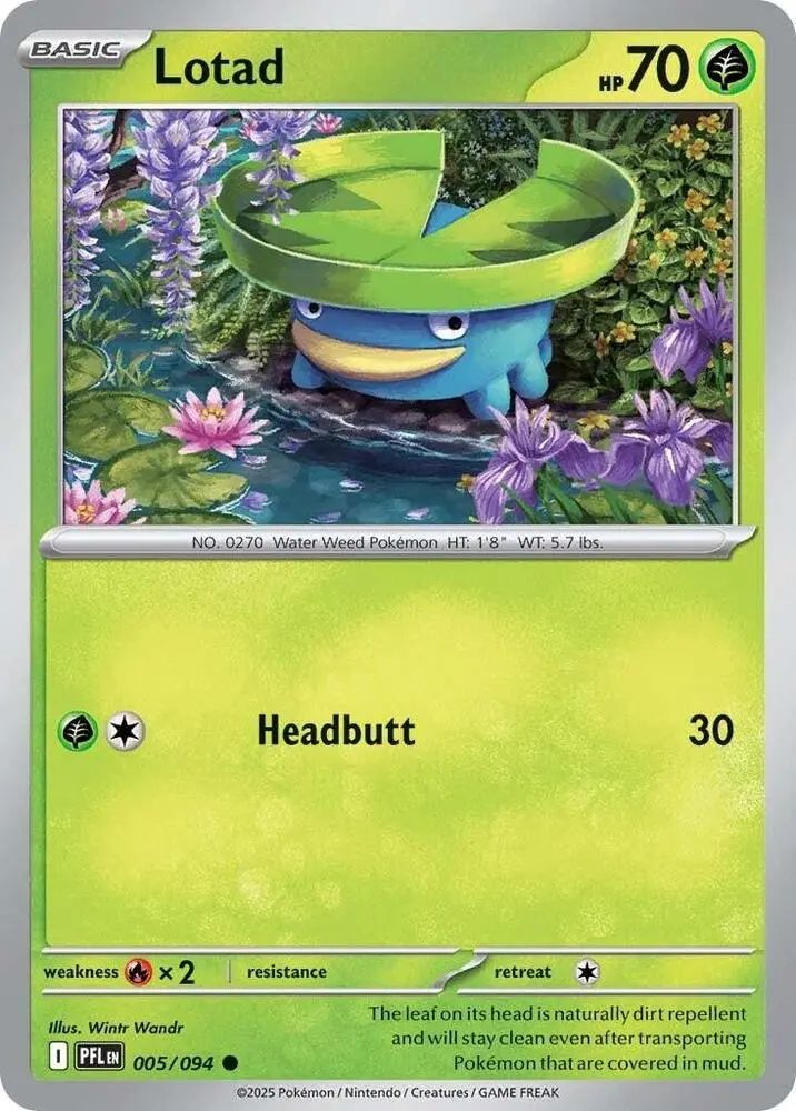 Lotad, Phantasmal Flames 005/94
