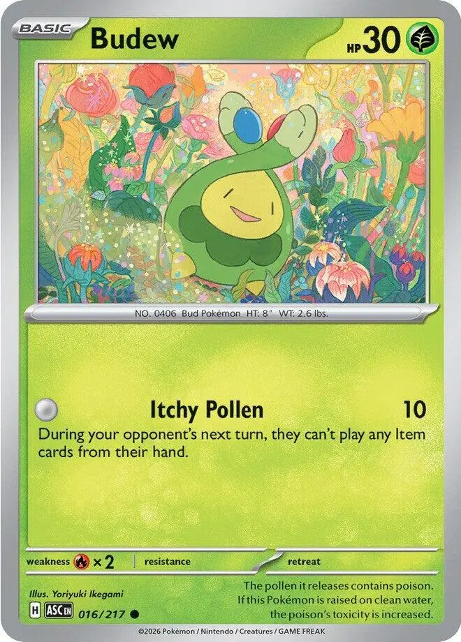 Budew, Ascended Heroes 016/217