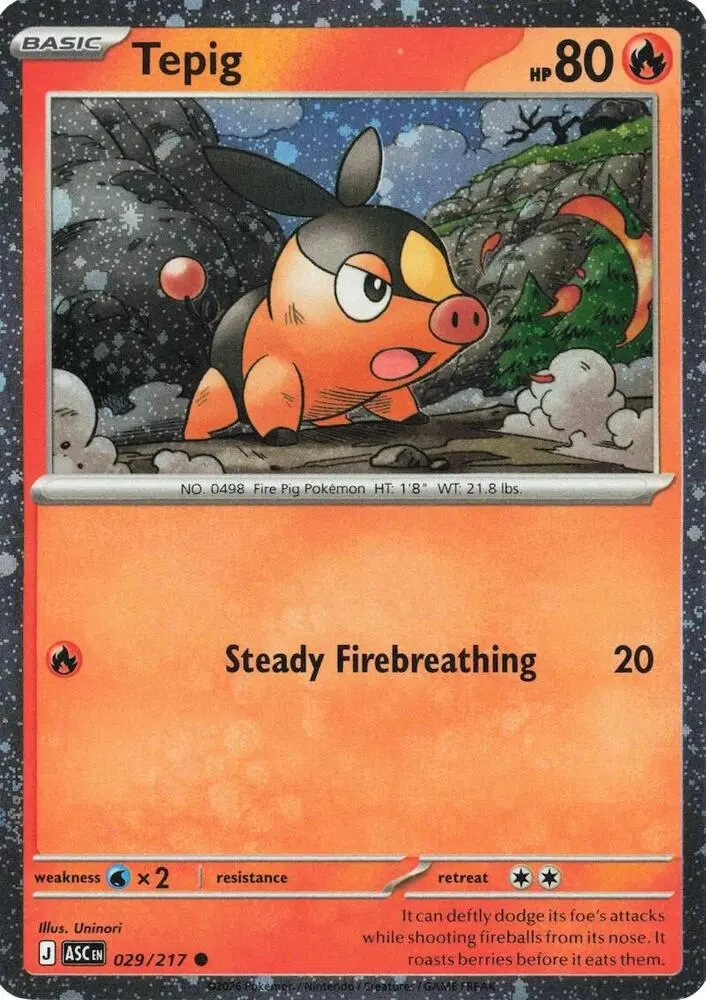 Tepig, Miscellaneous Cards & Products 029/217
