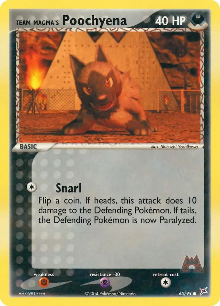 Team Magma's Poochyena, Team Magma vs Team Aqua 65/95