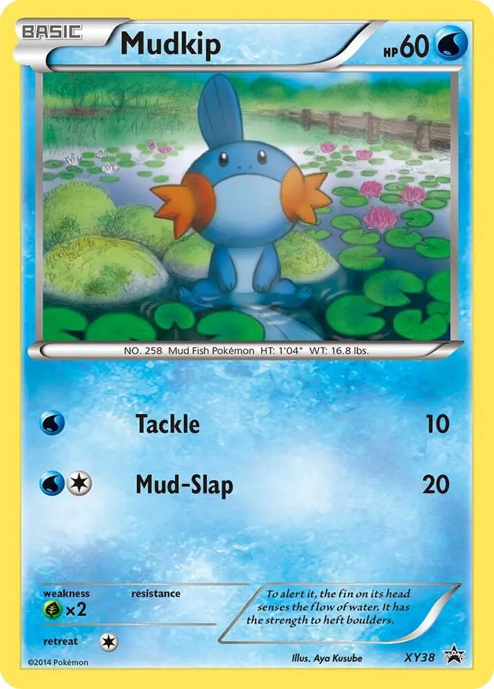 Mudkip, XY Black Star Promos XY38/211