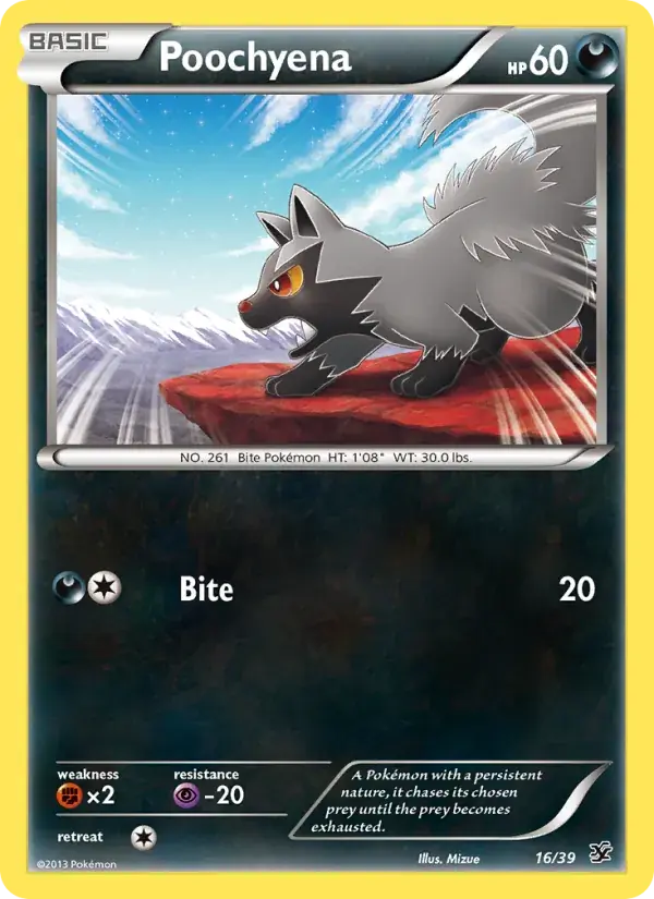 Poochyena, Kalos Starter Set 16/39