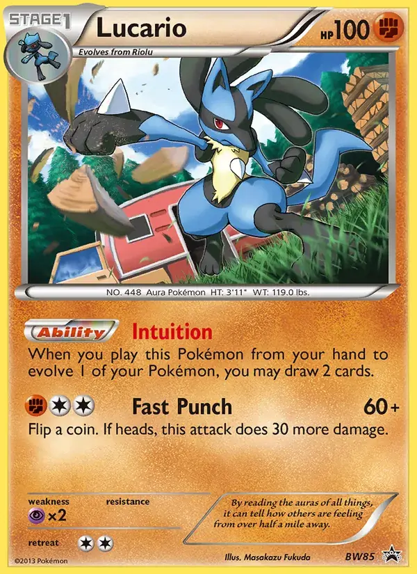 Lucario, BW Black Star Promos BW85/101