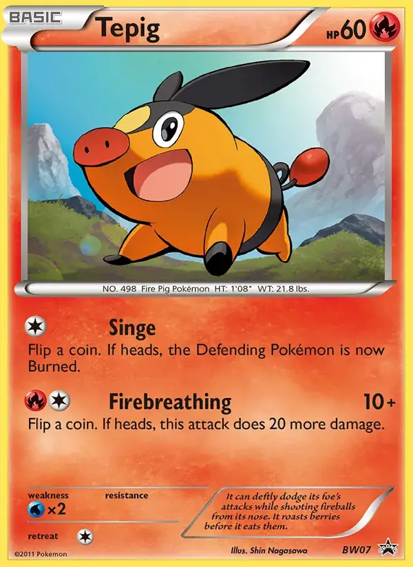 Tepig, BW Black Star Promos BW07/101
