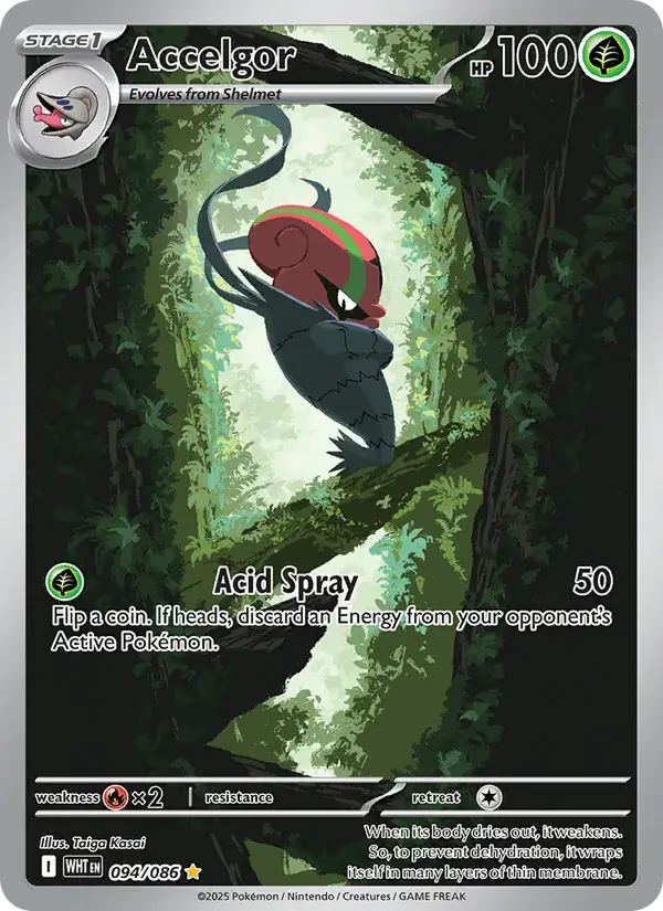 Accelgor, White Flare 094/86