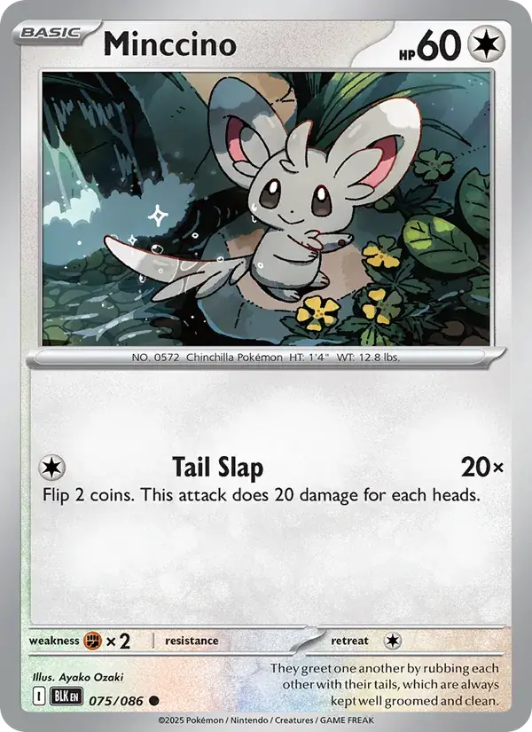 Minccino, Black Bolt 075/86