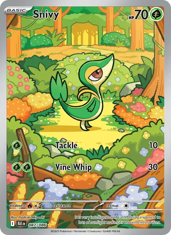 Snivy, Black Bolt 087/86